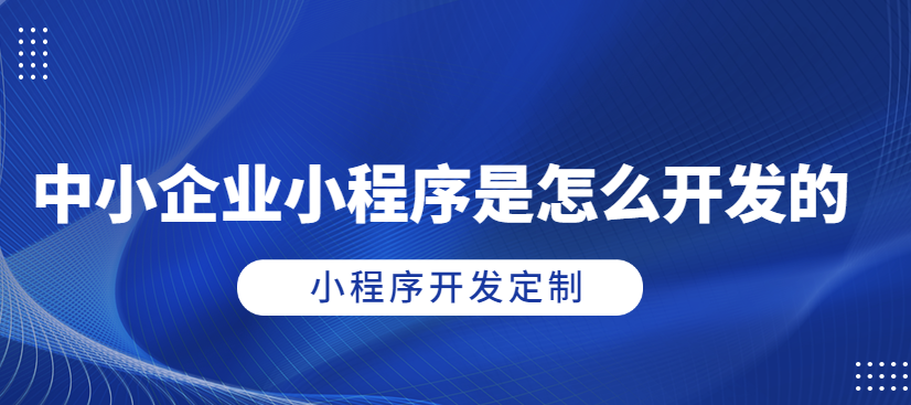 指尖上的商機！武榮CMS企業(yè)小程序開發(fā)，讓您的業(yè)務騰飛！