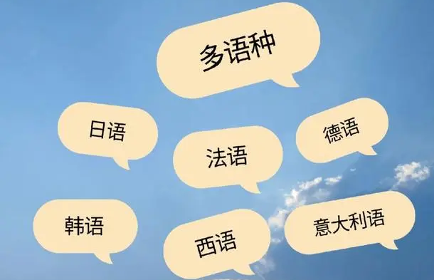 多語(yǔ)種企業(yè)網(wǎng)站建設(shè)困境剖析：從語(yǔ)言適配到用戶(hù)體驗(yàn)的挑戰(zhàn)