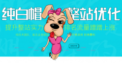 純白帽整站優(yōu)化，提升整站實(shí)力，價(jià)格親民效果好
